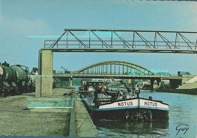 notus 0.jpg (220.66 Kio) Vu 1434 fois notus 0.jpg