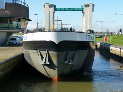 Cornelia-12-24-02-2016.jpg