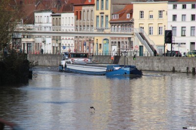 IMG_1181.JPG (159.67 Kio) Vu 6662 fois IMG_1181.JPG