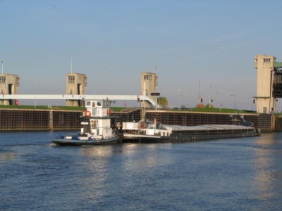 sternasuzette813102007.jpg (50.84 Kio) Vu 2145 fois sternasuzette813102007.jpg