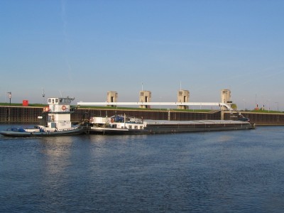 sternasuzette613102007.jpg (186.42 Kio) Vu 2575 fois sternasuzette613102007.jpg