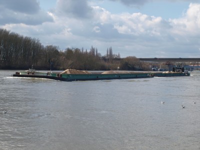 P3064960 (Copier).JPG