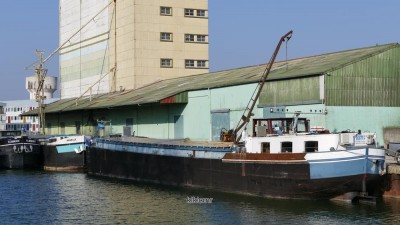 P1020186 (Copier).JPG (105.28 Kio) Vu 9767 fois P1020186 (Copier).JPG