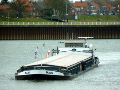 Maro-2-20-03-2016-sluis-Lith.jpg