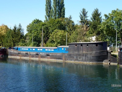 RENE (4) (Copier).JPG (144.5 Kio) Vu 2853 fois RENE (4) (Copier).JPG