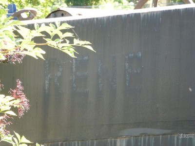 RENE (6) (Copier).JPG (87.37 Kio) Vu 2853 fois RENE (6) (Copier).JPG