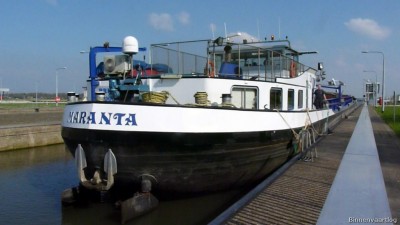 Maranta-4-10-04-2016-Sambeek.jpg (114.27 Kio) Vu 5692 fois Maranta-4-10-04-2016-Sambeek.jpg