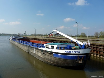 Maranta-3-10-04-2016-Sambeek.jpg (148.54 Kio) Vu 5685 fois Maranta-3-10-04-2016-Sambeek.jpg