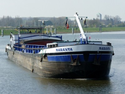 Maranta-2-10-04-2016-Sambeek.jpg (169.06 Kio) Vu 5699 fois Maranta-2-10-04-2016-Sambeek.jpg