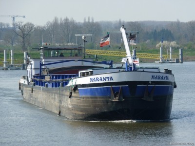 Maranta-1-10-04-2016-Sambeek.jpg (191.49 Kio) Vu 5685 fois Maranta-1-10-04-2016-Sambeek.jpg