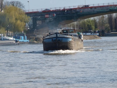 P4085055 (Copier).JPG (1020.44 Kio) Vu 8560 fois P4085055 (Copier).JPG