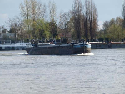 P4085051 (Copier).JPG (1.03 Mio) Vu 8560 fois P4085051 (Copier).JPG