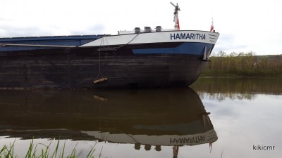 HAMARITHA - Frouard - 17 avril 2016 (2) (Copier).jpg (75.03 Kio) Vu 1653 fois HAMARITHA - Frouard - 17 avril 2016 (2) (Copier).jpg