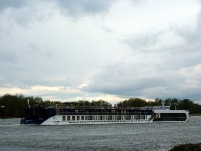 Amastella-6-16-04-2016-Oosterhout.jpg (62.4 Kio) Vu 1590 fois Amastella-6-16-04-2016-Oosterhout.jpg