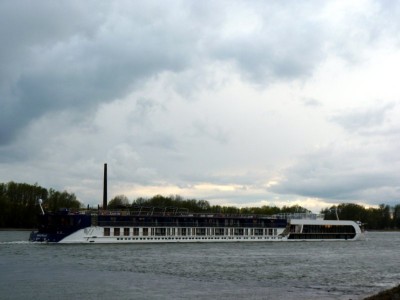 Amastella-5-16-04-2016-Oosterhout.jpg (53.18 Kio) Vu 1595 fois Amastella-5-16-04-2016-Oosterhout.jpg