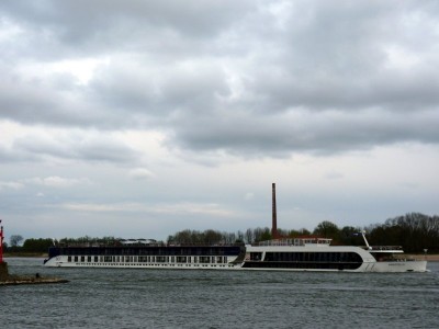 Amastella-4-16-04-2016-Oosterhout.jpg (58.39 Kio) Vu 1590 fois Amastella-4-16-04-2016-Oosterhout.jpg