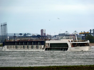 Amastella-2-16-04-2016-Oosterhout.jpg (84.14 Kio) Vu 1590 fois Amastella-2-16-04-2016-Oosterhout.jpg