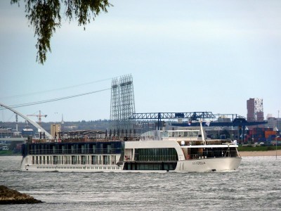 Amastella-1-16-04-2016-Oosterhout.jpg (98.74 Kio) Vu 1590 fois Amastella-1-16-04-2016-Oosterhout.jpg