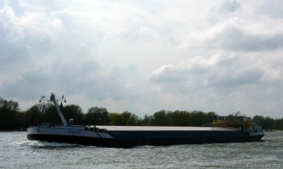 Cygnus-4-16-04-2016-Oosterhout.jpg (101.47 Kio) Vu 1552 fois Cygnus-4-16-04-2016-Oosterhout.jpg