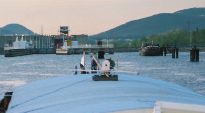 01_Mandragore F - 30.jpg (81.42 Kio) Vu 7131 fois 01_Mandragore F - 30.jpg