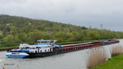 P1020286 (Copier).JPG (111.82 Kio) Vu 1893 fois P1020286 (Copier).JPG