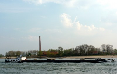 Stern-2-14-04-2016-Oosterhout.jpg