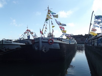 DSCF5269.JPG (237.23 Kio) Vu 4210 fois DSCF5269.JPG