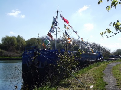 DSCF5359.JPG (394.9 Kio) Vu 4207 fois DSCF5359.JPG