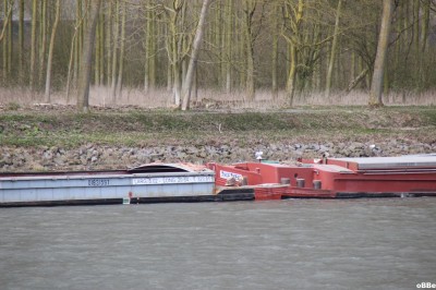 IMG_1453.JPG (153.69 Kio) Vu 5512 fois IMG_1453.JPG