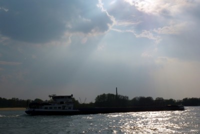 Alsvin-3-14-04-2016-Oosterhout.jpg (101.47 Kio) Vu 2352 fois Alsvin-3-14-04-2016-Oosterhout.jpg