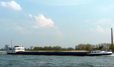 Alsvin-1-14-04-2016-Oosterhout.jpg (98.67 Kio) Vu 2352 fois Alsvin-1-14-04-2016-Oosterhout.jpg