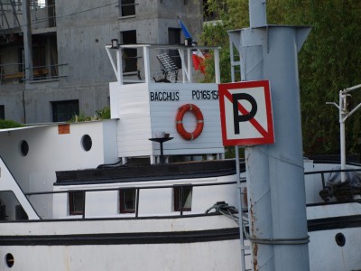 P5275317 (Copier).JPG (257 Kio) Vu 1462 fois P5275317 (Copier).JPG