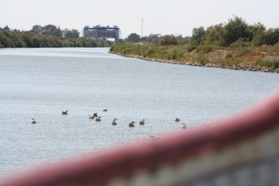 053.JPG (137.93 Kio) Vu 771 fois 053.JPG