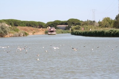 052.JPG (155.05 Kio) Vu 771 fois 052.JPG