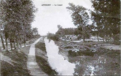 a terre l'IRIS.jpg
