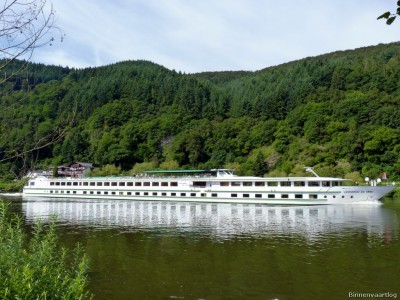 Leonardo-Davinci-1-06-07-2016-Traben-Trarbach.jpg