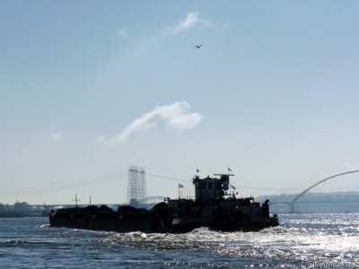 Matricaria-11-26-09-2015-Oosterhout.jpg (127.81 Kio) Vu 2077 fois Matricaria-11-26-09-2015-Oosterhout.jpg