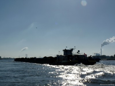 Matricaria-10-26-09-2015-Oosterhout.jpg (116.68 Kio) Vu 2077 fois Matricaria-10-26-09-2015-Oosterhout.jpg