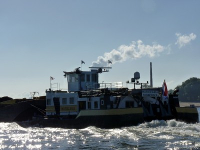 Matricaria-8-26-09-2015-Oosterhout.jpg (142.01 Kio) Vu 2077 fois Matricaria-8-26-09-2015-Oosterhout.jpg