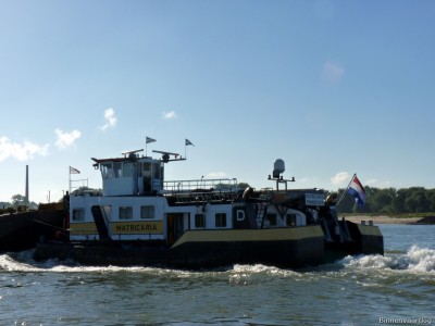 Matricaria-7-26-09-2015-Oosterhout.jpg (133.21 Kio) Vu 2077 fois Matricaria-7-26-09-2015-Oosterhout.jpg