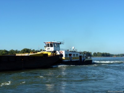 Matricaria-4-26-09-2015-Oosterhout.jpg (130.98 Kio) Vu 2077 fois Matricaria-4-26-09-2015-Oosterhout.jpg