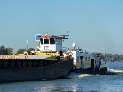 Matricaria-3-26-09-2015-Oosterhout.jpg (132.01 Kio) Vu 2077 fois Matricaria-3-26-09-2015-Oosterhout.jpg