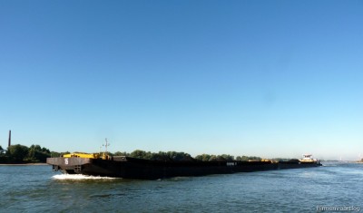 Matricaria-2-26-09-2015-Oosterhout.jpg (90.91 Kio) Vu 2077 fois Matricaria-2-26-09-2015-Oosterhout.jpg