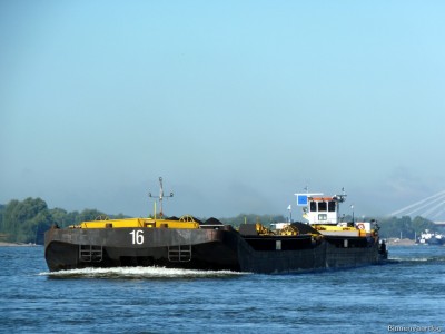 Matricaria-1-26-09-2015-Oosterhout.jpg (126.18 Kio) Vu 2077 fois Matricaria-1-26-09-2015-Oosterhout.jpg