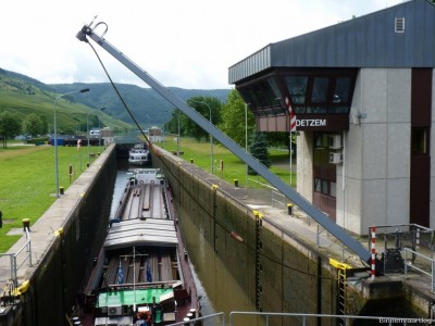 Roger-6-28-06-2016.jpg (195.53 Kio) Vu 1783 fois Roger-6-28-06-2016.jpg