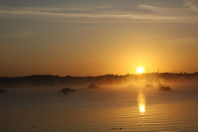 006.JPG (134.78 Kio) Vu 1093 fois 006.JPG