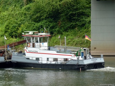 Nashorn-3-13-07-2016-St.Aldegund.jpg