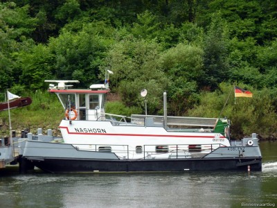 Nashorn-2-13-07-2016-St.Aldegund.jpg