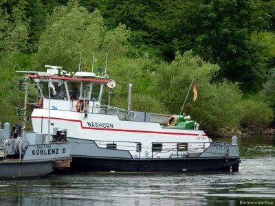 Nashorn-1-13-07-2016-St.Aldegund.jpg