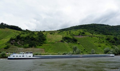 Impuls-4-01-07-2016-Wintrich.jpg (165.33 Kio) Vu 4324 fois Impuls-4-01-07-2016-Wintrich.jpg